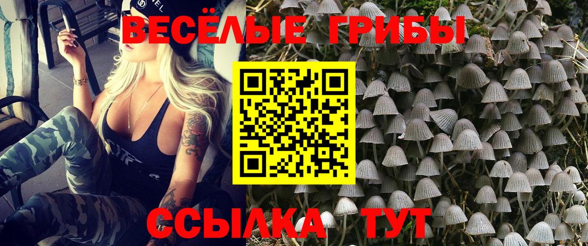 Псилоцибиновые грибы Magic Shrooms Дзержинский