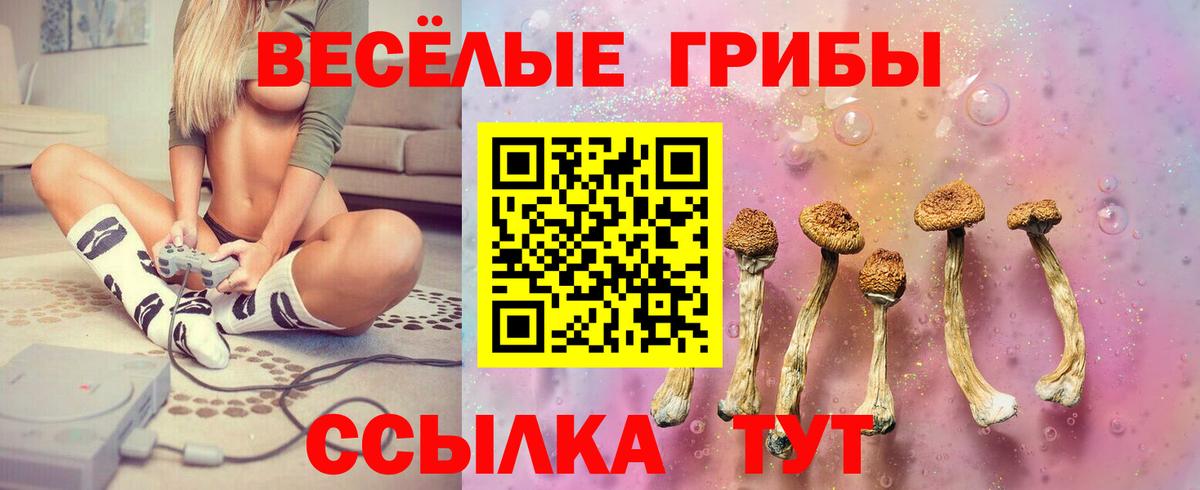 Галлюциногенные грибы мухоморы  Вход с VPN  Дзержинский 